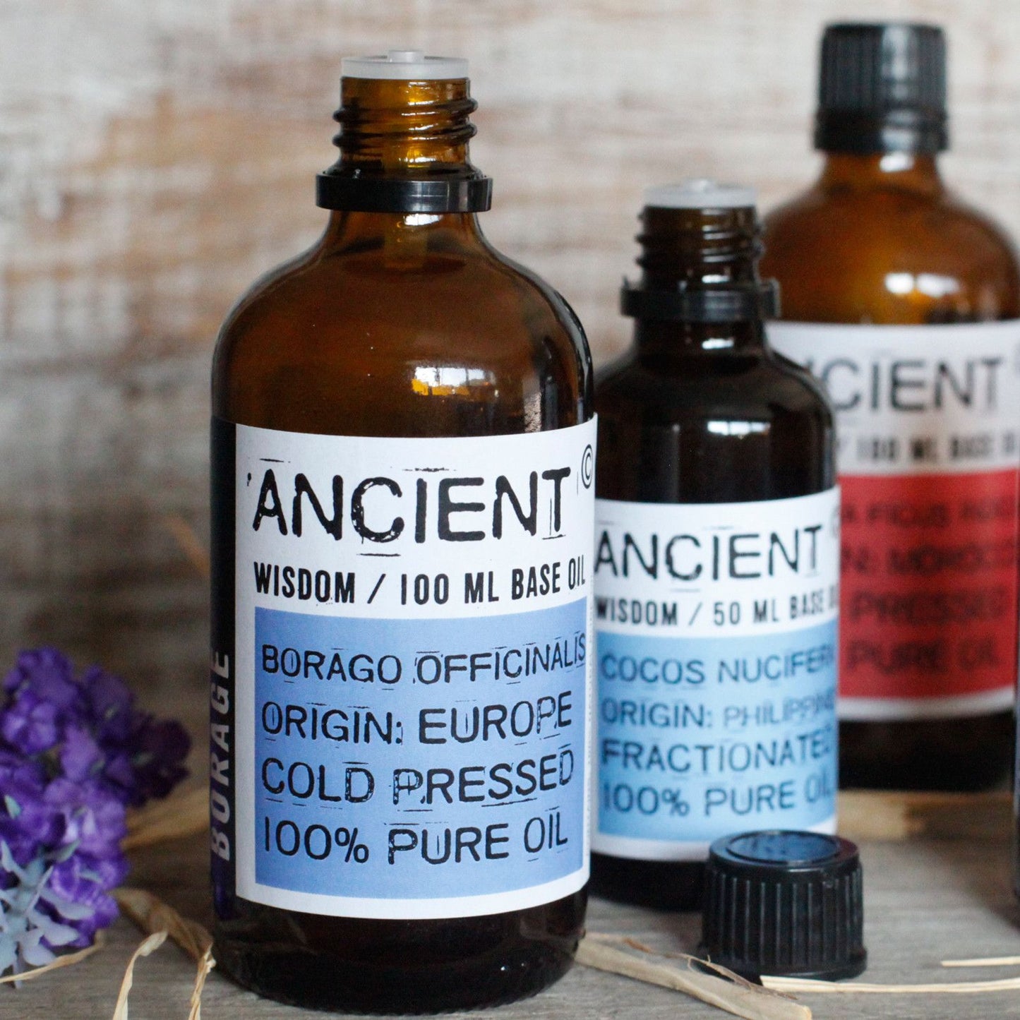 Prickly Pear Cactus Seed Oil - 50 ml